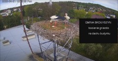 IMG_8158.jpeg