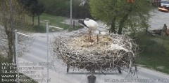 IMG_8234.jpeg