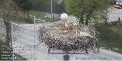 IMG_8236.jpeg
