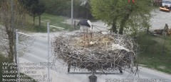 IMG_8237.jpeg