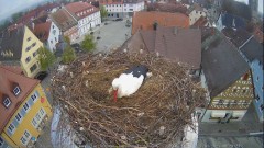 IMG_6916.jpeg