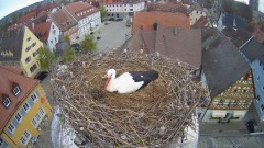 IMG_6937.jpeg