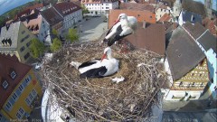 IMG_6989.jpeg