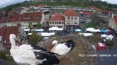 IMG_6970.jpeg