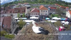 IMG_6983.jpeg
