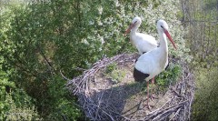 IMG_8312.jpeg