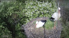 IMG_8331.jpeg