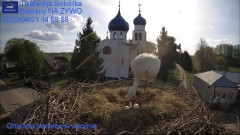 IMG_8350.jpeg