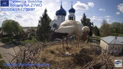 IMG_8354.jpeg