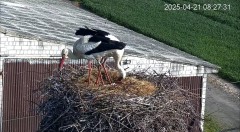 IMG_8392.jpeg