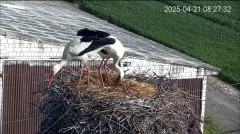 IMG_8393.jpeg