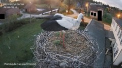 IMG_7003.jpeg