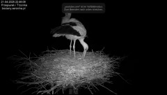 IMG_8477.jpeg