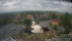 palowice-2025-04-22-2.png