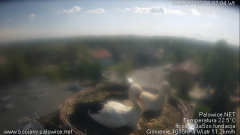 palowice-2025-04-22-8.png