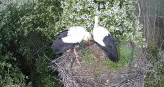IMG_8613.jpeg