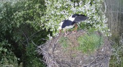 IMG_8615.jpeg