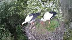 IMG_8617.jpeg
