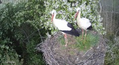 IMG_8622.jpeg