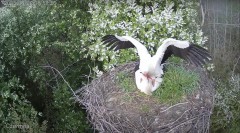 IMG_8631.jpeg