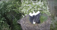 IMG_8644.jpeg