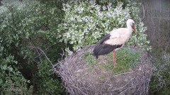 IMG_8645.jpeg
