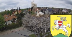 IMG_8559.jpeg