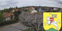 IMG_8560.jpeg