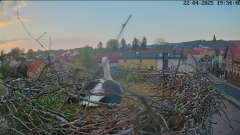 2025-04-22 22_23_40-Bociany Białe Polanów - gniazdo na żywo Sezon 2025 _ Pollnow White Stork - nest .png