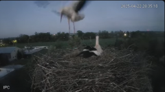 2025-04-22 22_30_25-Bociany - Raszków - YouTube - Maxthon.png