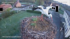 IMG_7010.jpeg
