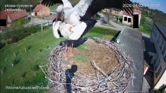 IMG_7035.jpeg
