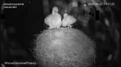 Oby ta noc minęła im spokojnie