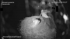 IMG_7130.jpeg