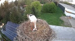 20250422_231702.jpg
