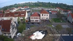 IMG_7145.jpeg