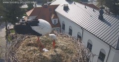 IMG_7157.jpeg