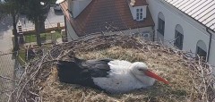 IMG_7158.jpeg