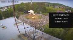 IMG_8738.jpeg