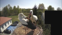 IMG_8793.jpeg