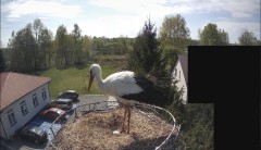 IMG_8736.jpeg