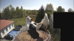 IMG_8794.jpeg