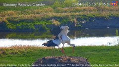 IMG_8811.jpeg