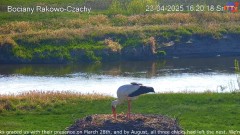 IMG_8820.jpeg