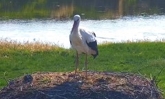 IMG_8823.jpeg