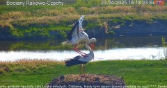 IMG_8808.jpeg