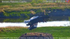 IMG_8809.jpeg