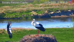 IMG_8775.jpeg