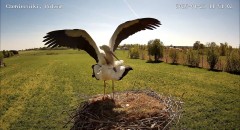 IMG_8831.jpeg