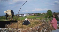 IMG_3103.jpeg
